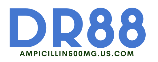 DR88 casino
